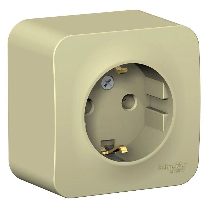 BLNRA010117 Systeme Electric | Розетка 1-м ОП Blanca 16А IP20 250В с заземл. без защ. шторок с изолир. пластиной беж. SE 