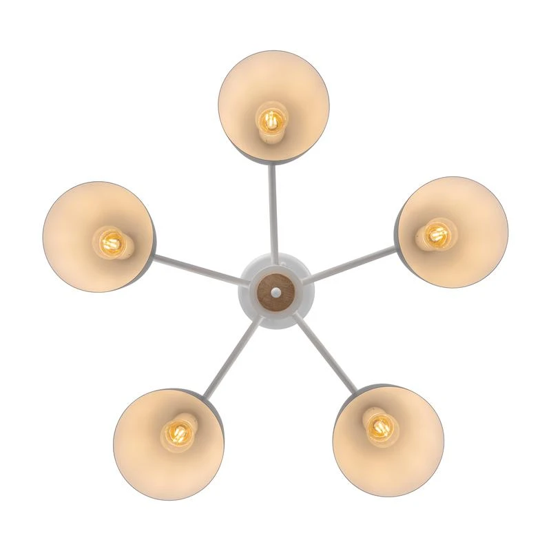 FR5033CL-05W изображение