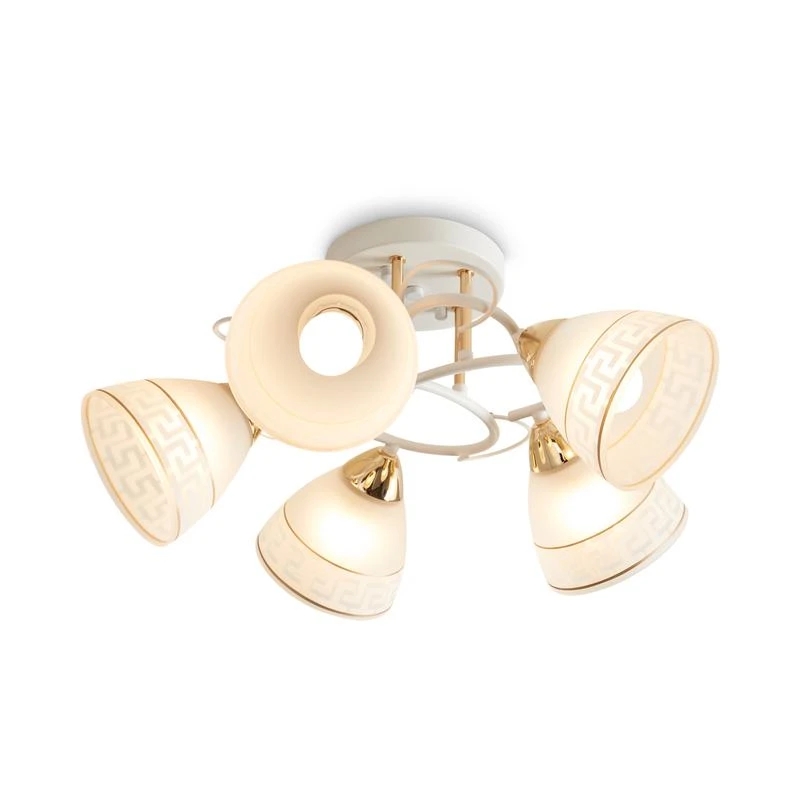 FR5465CL-05W изображение