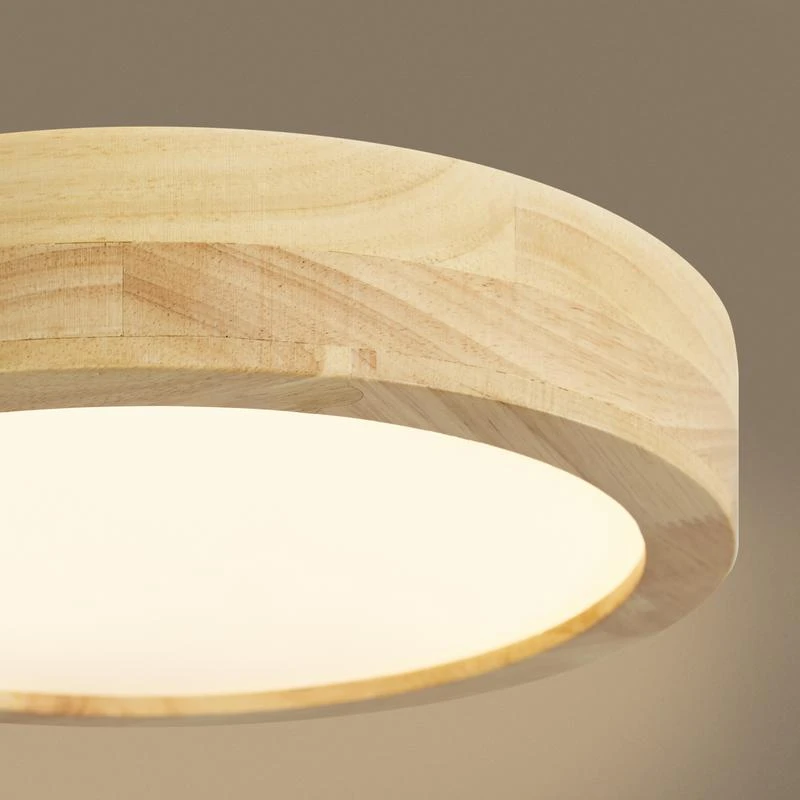 FR6169CL-L25PN изображение