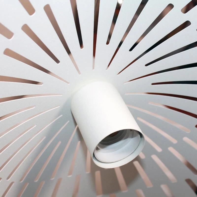 1005404813 изображение