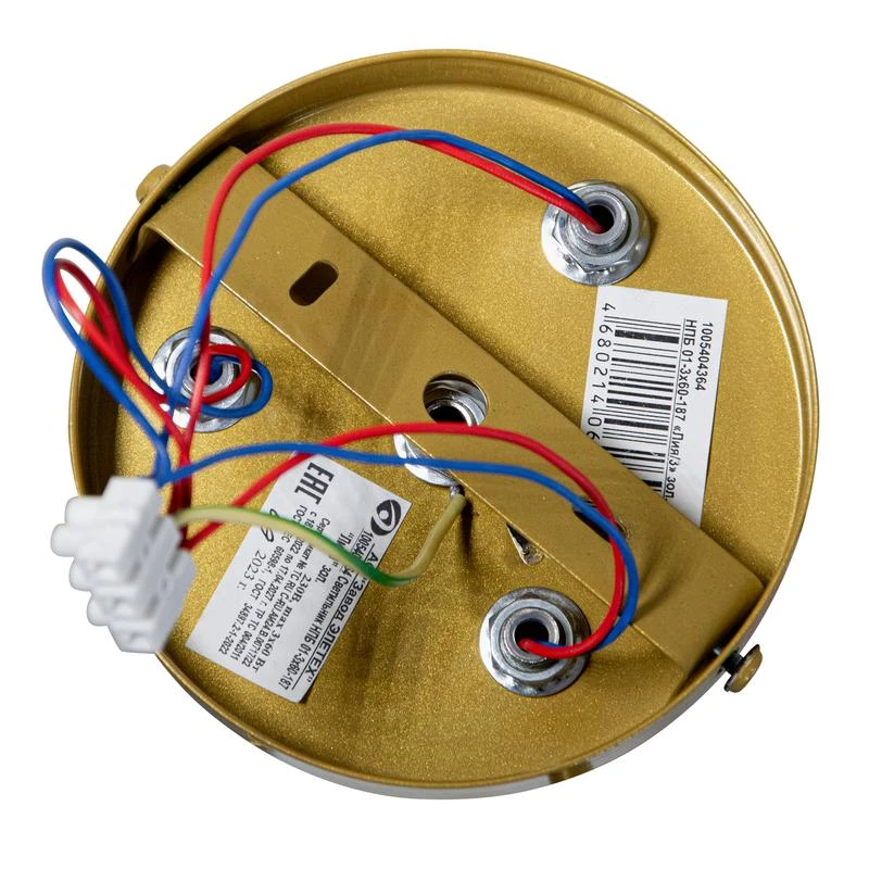 1005404364 изображение