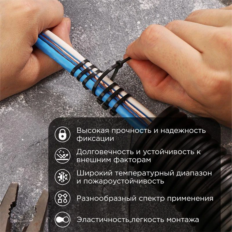 07-0081 изображение