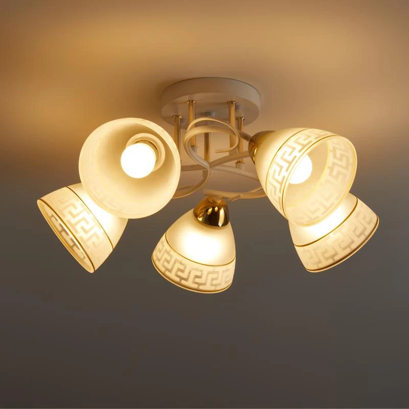 FR5465CL-05W изображение