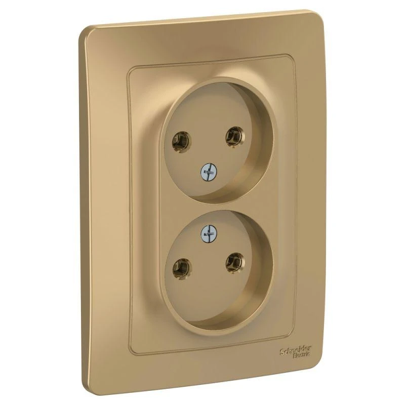 BLNRS000024 Systeme Electric | Розетка 2-м СП Blanca 16А IP20 250В без заземл. без защ. шторок титан SE 