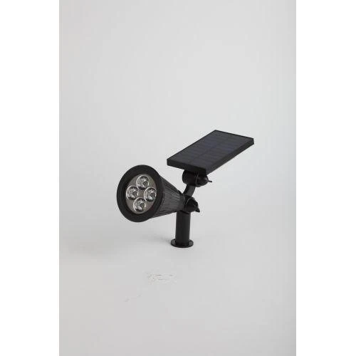 Б0044219 изображение