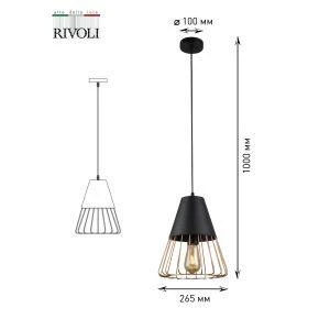 Б0047529 изображение