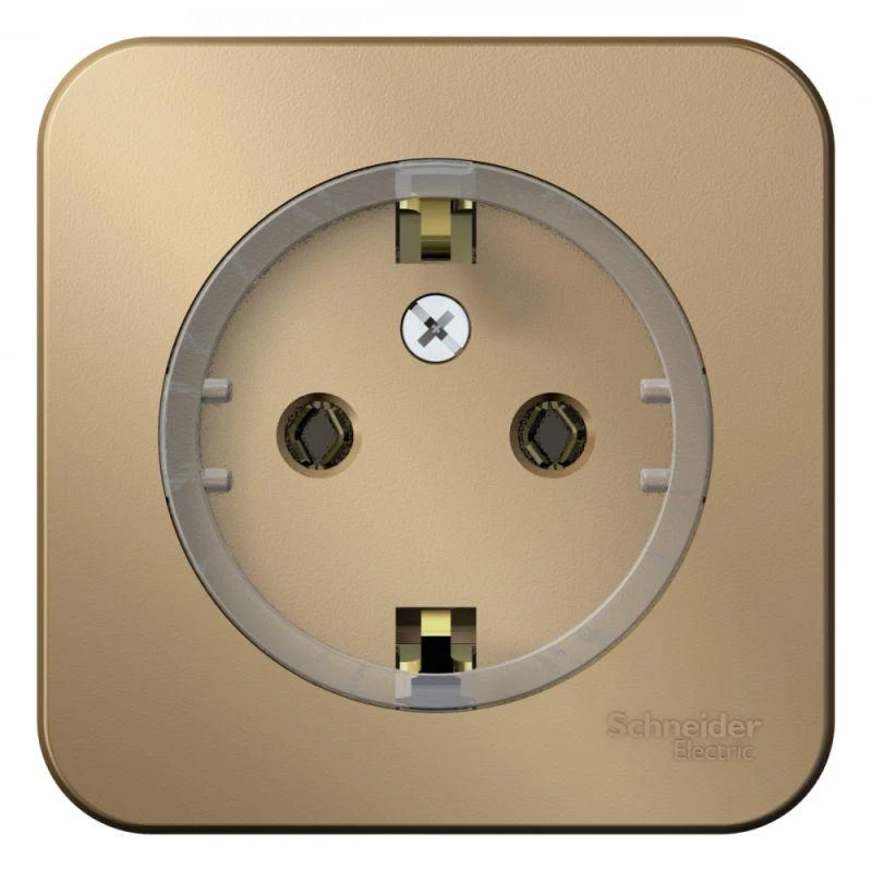 BLNRA110114 Systeme Electric | Розетка 1-м ОП Blanca 16А IP20 250В с заземл. без защ. шторок с изолир. пластиной (компакт) титан SE 