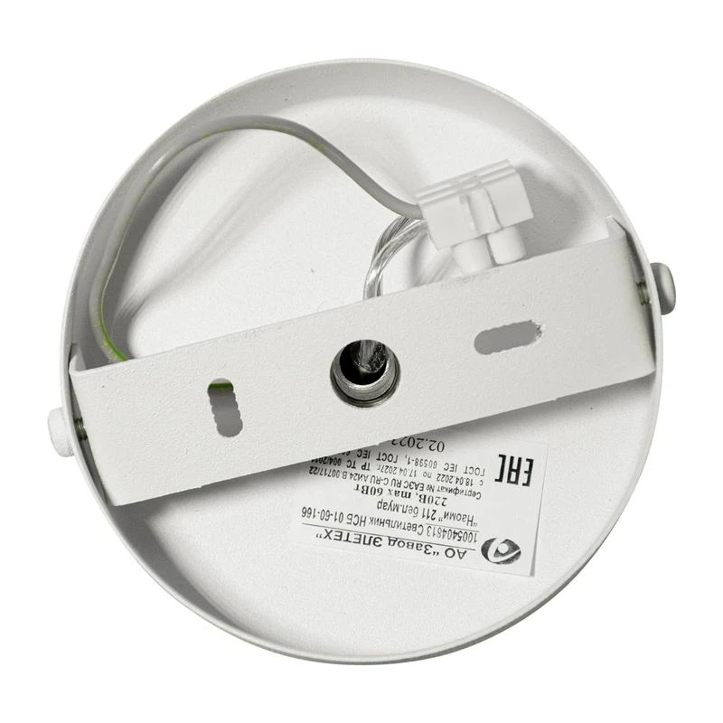 1005404813 изображение