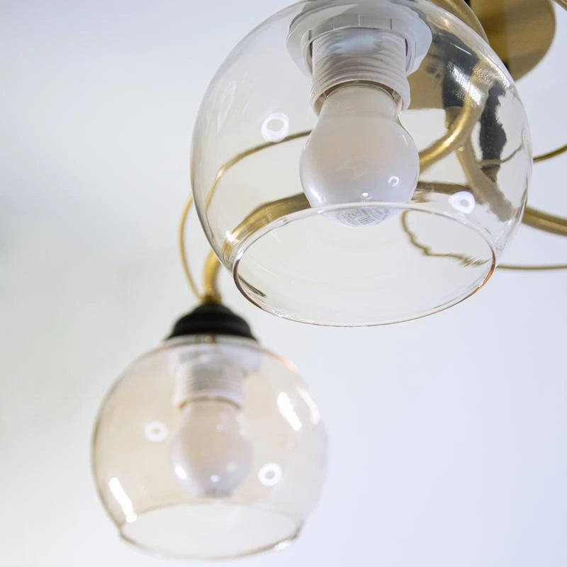 1005404364 изображение