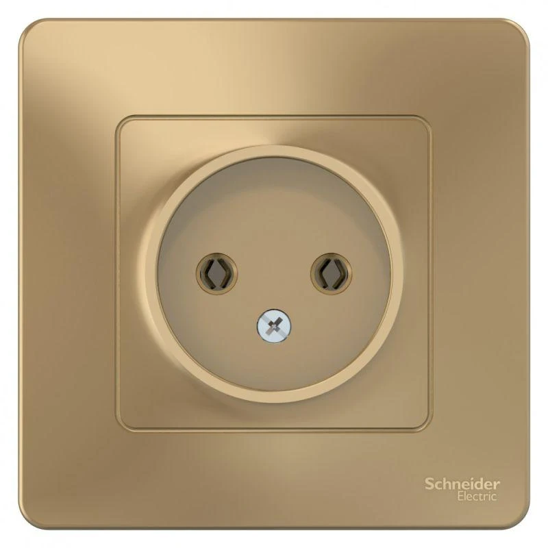 BLNRS000014 Systeme Electric | Розетка 1-м СП Blanca 16А IP20 250В без заземл. без защ. шторок титан SE 