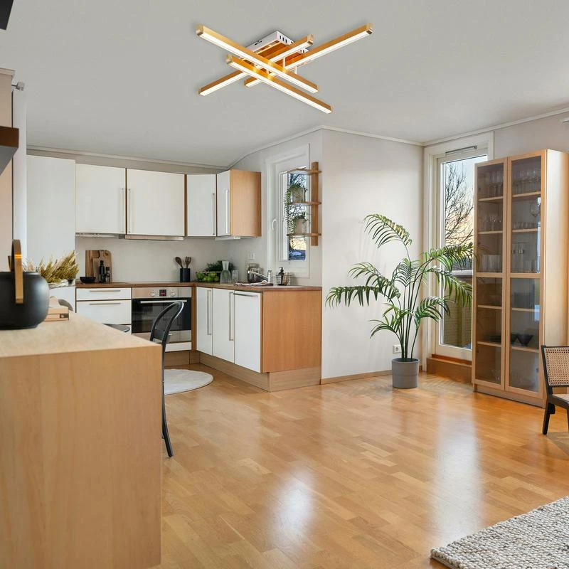 FR6198CL-L88G изображение