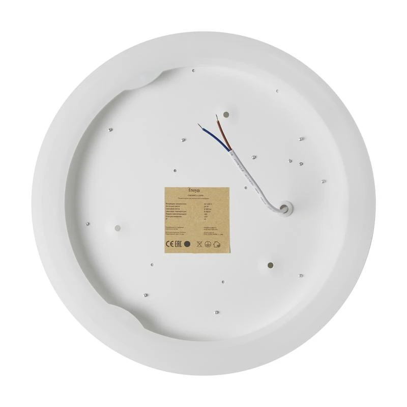 FR6169CL-L25PN изображение