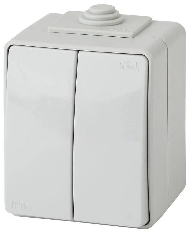 Б0035976 Эра | Выключатель 2-кл. ОП  Эксперт 10А IP65 11-1604-03 250В 10AX (10/100/1600) сер.  