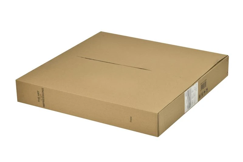 FR5421CL-L80BR изображение