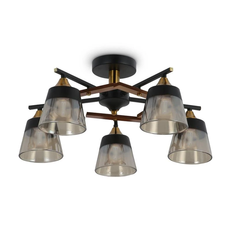 FR5153PL-05B изображение