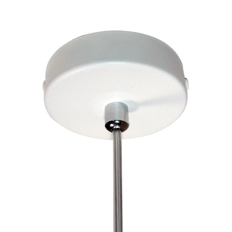 1005404813 изображение