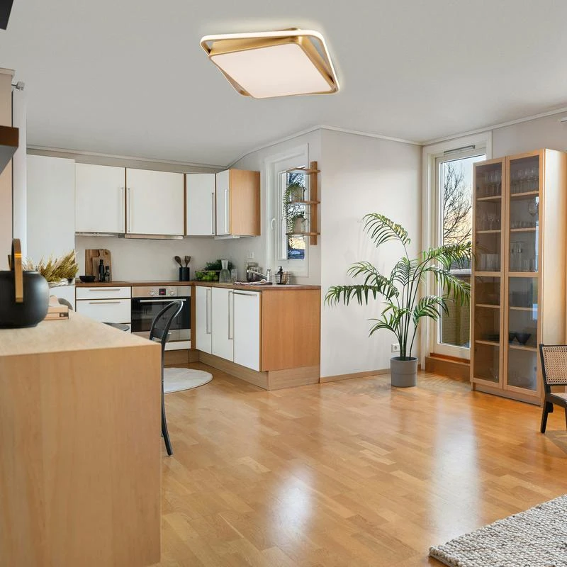 FR10026CL-L93G изображение