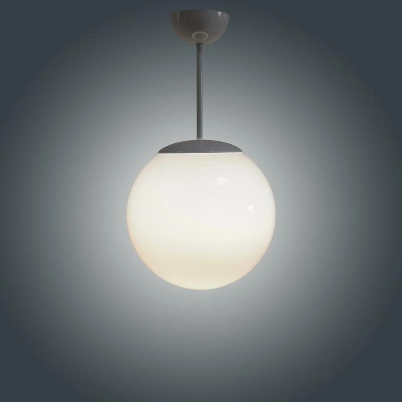 1005250855 изображение