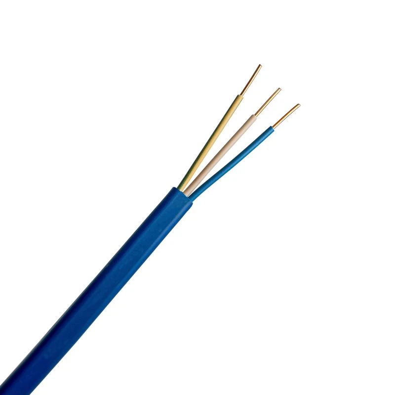 ЭК000093313 изображение