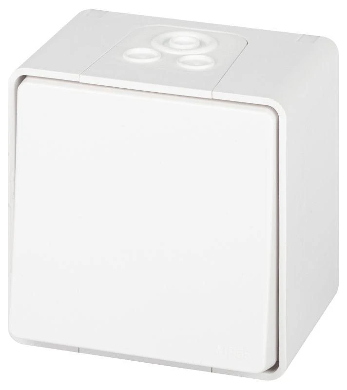 Б0063301 Эра | Переключатель Эксперт 11-1503-01 IP55 10АХ-250В ОУ бел.  