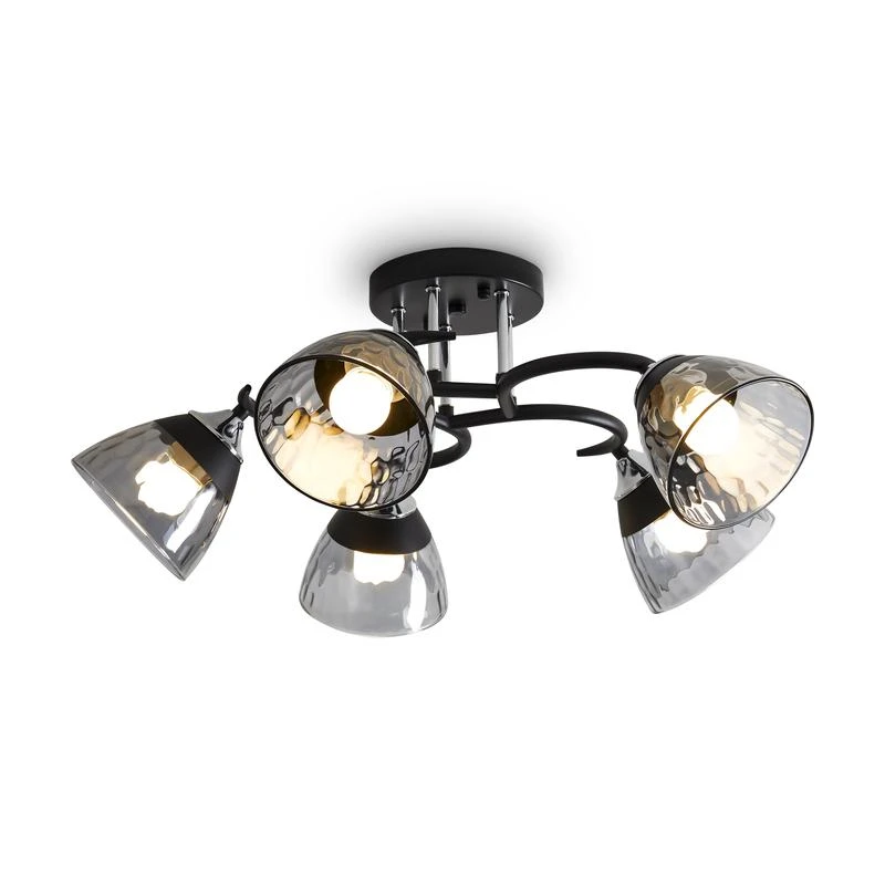 FR5464CL-05CH изображение