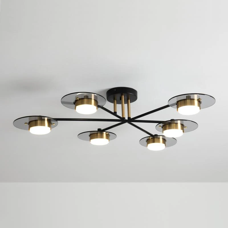 FR5513PL-06BBZ изображение