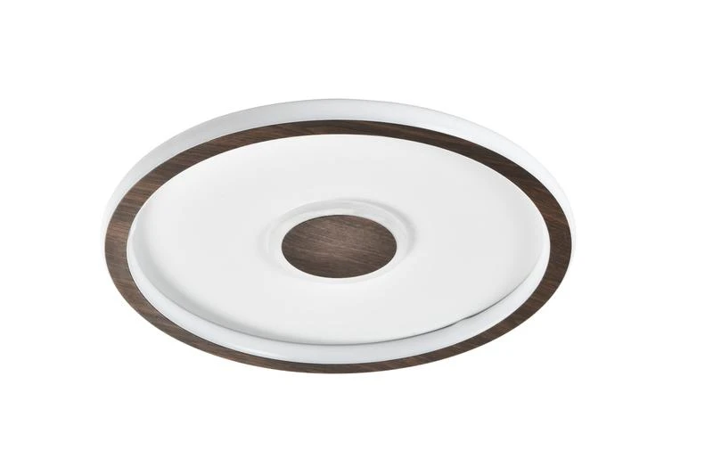 FR5421CL-L80BR изображение