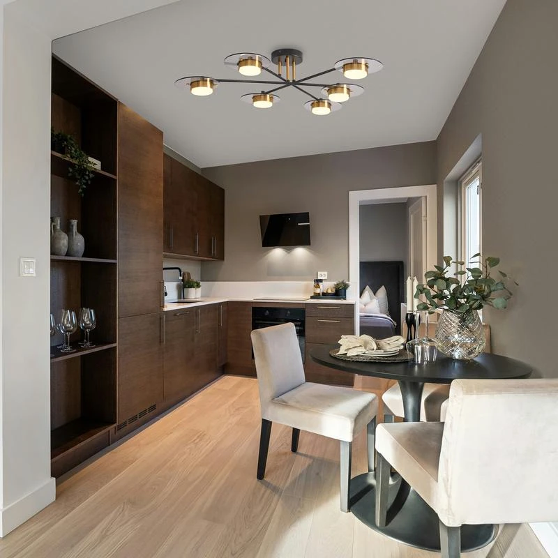 FR5513PL-06BBZ изображение