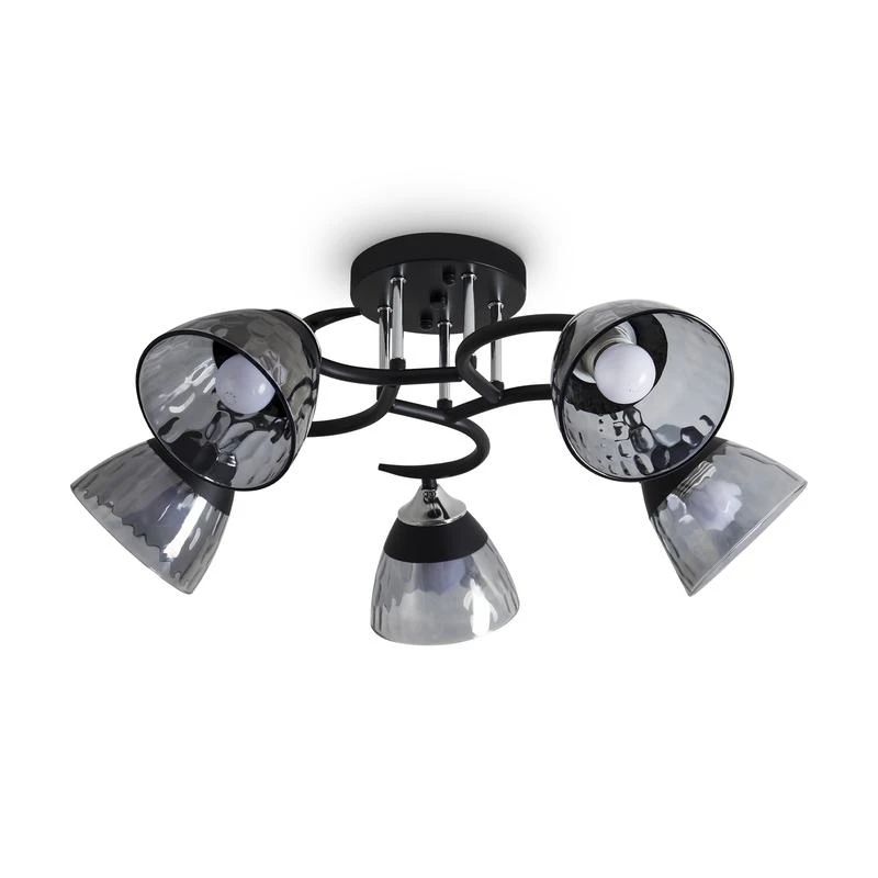 FR5464CL-05CH изображение