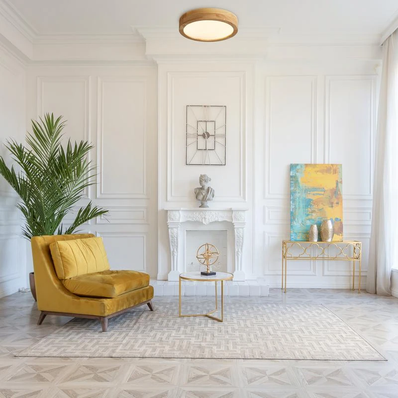 FR6169CL-L25PN изображение