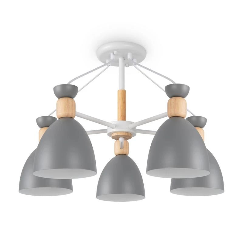 FR5033CL-05W изображение