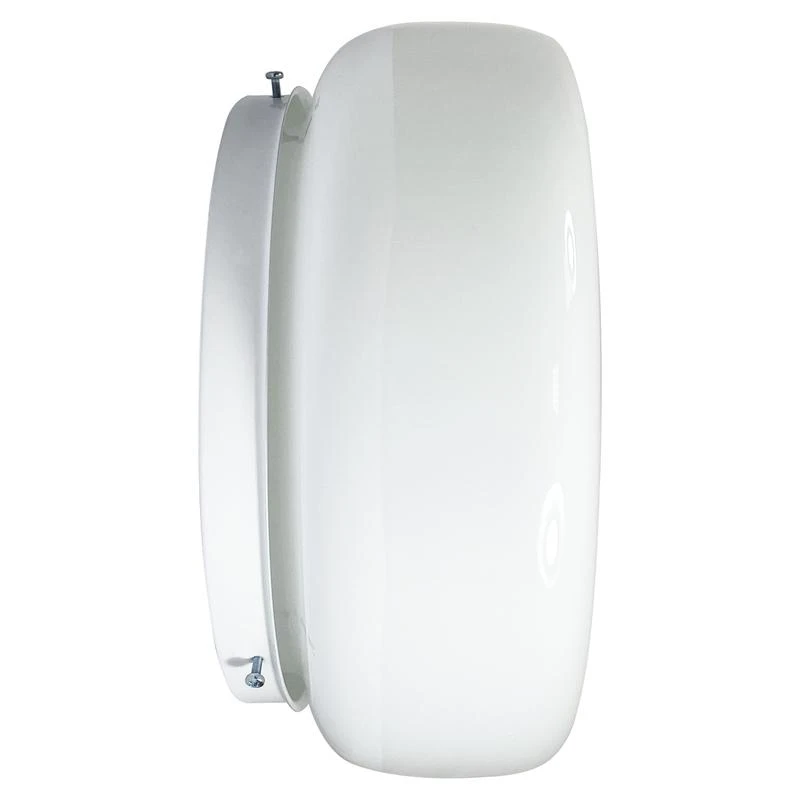 1005150221 изображение