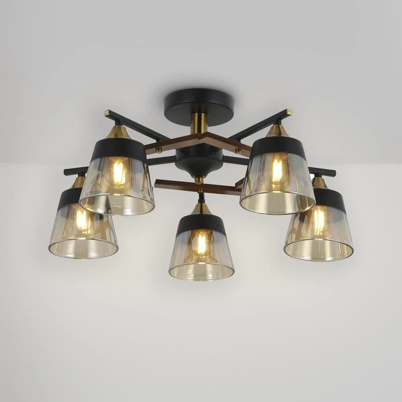 FR5153PL-05B изображение