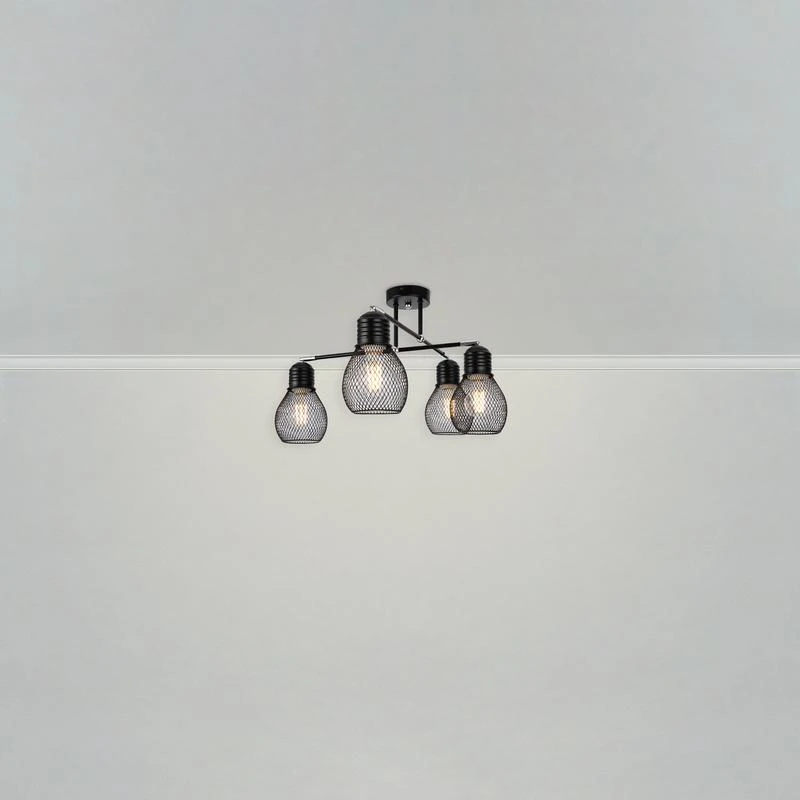 FR5069PL-04B изображение