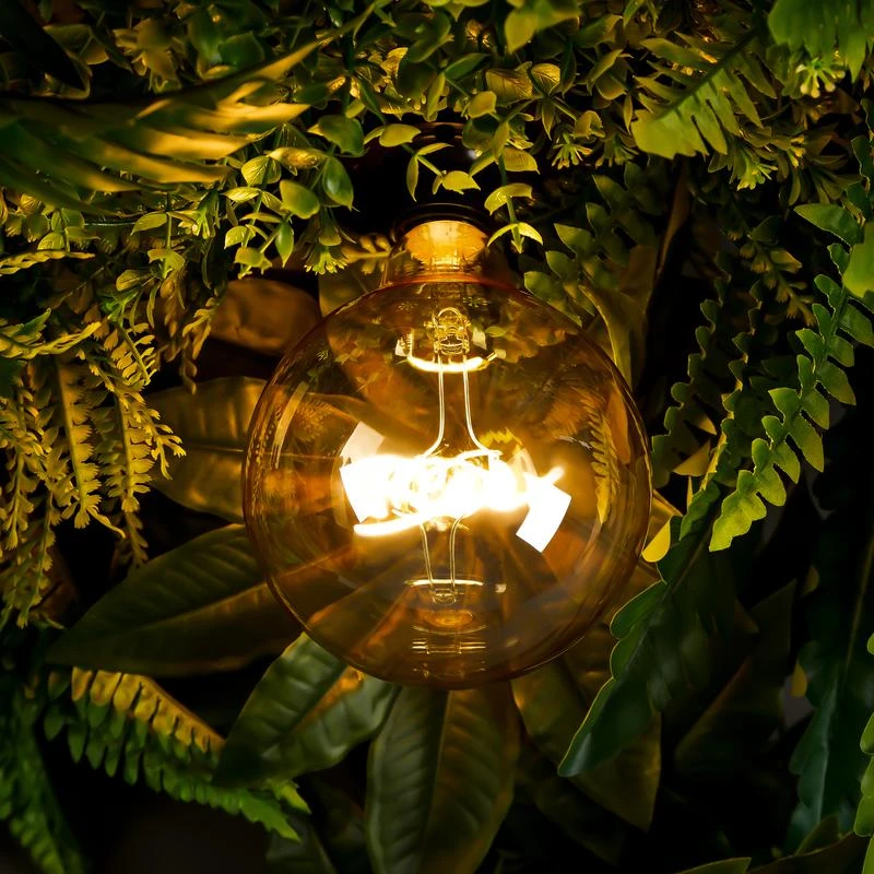 8555 изображение