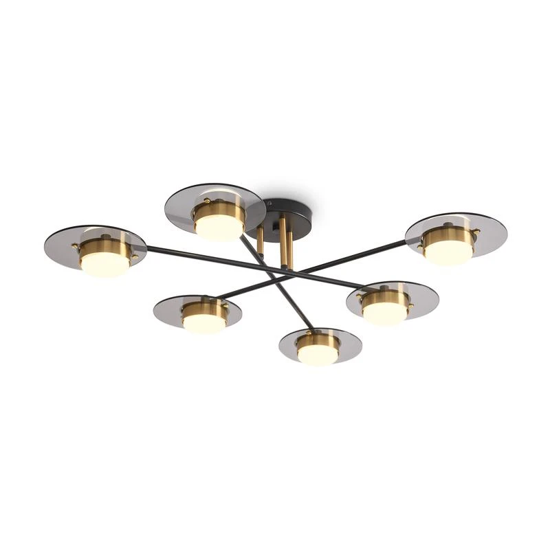 FR5513PL-06BBZ изображение