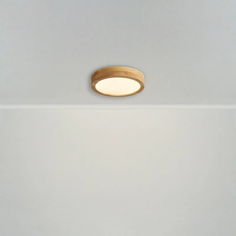 FR6169CL-L25PN изображение