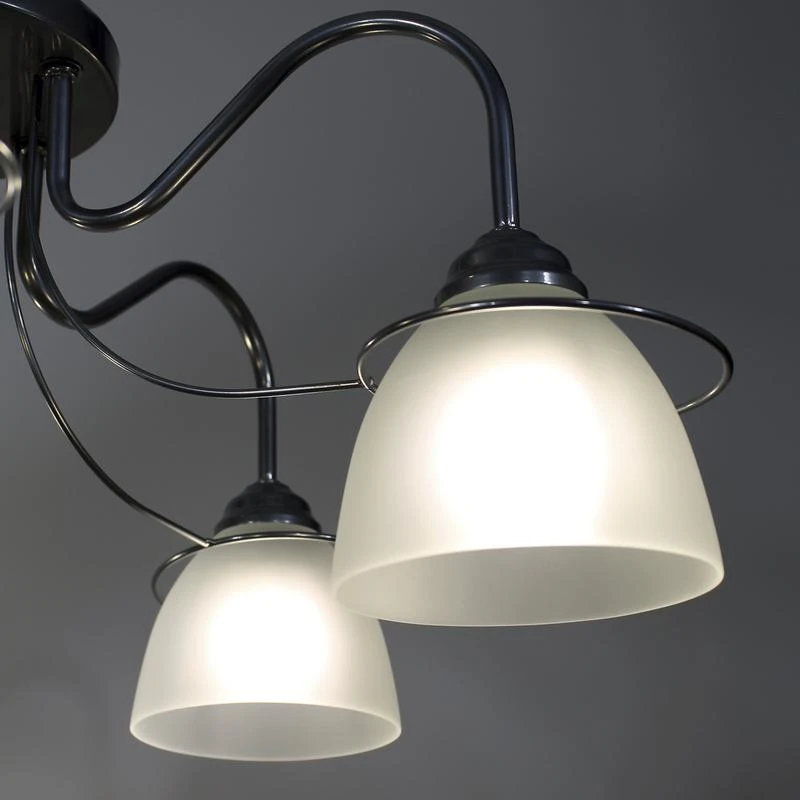 1005404476 изображение