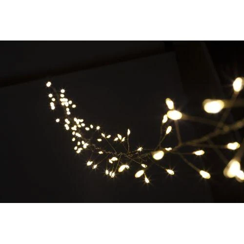 Б0051871 изображение