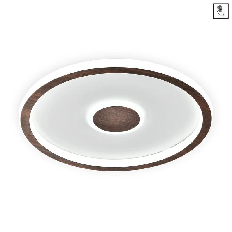 FR5421CL-L80BR изображение