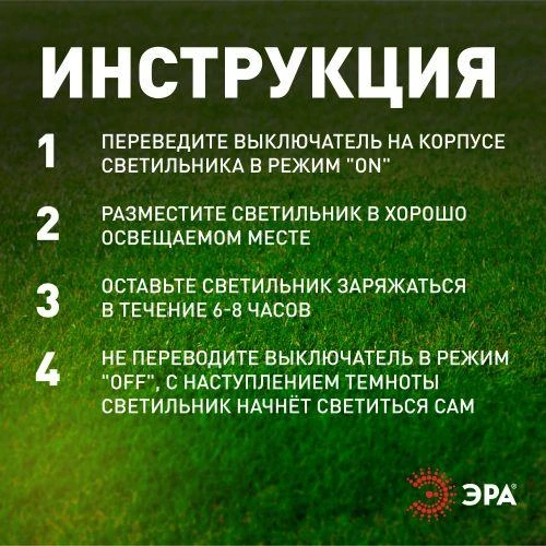 Б0053446 изображение