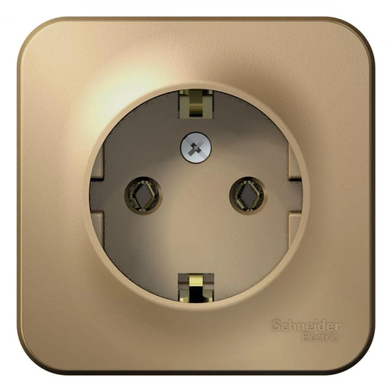 BLNRA010114 Systeme Electric | Розетка 1-м ОП Blanca 16А IP20 250В с заземл. без защ. шторок с изолир. пластиной титан SE 