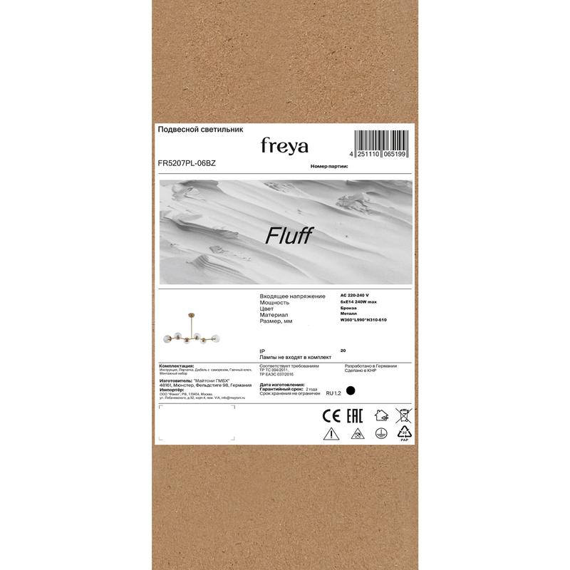 FR5207PL-06BZ изображение