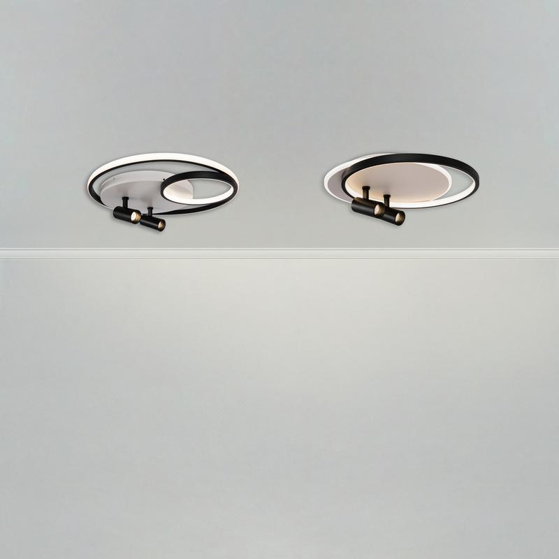 FR6083CL-L106WB изображение