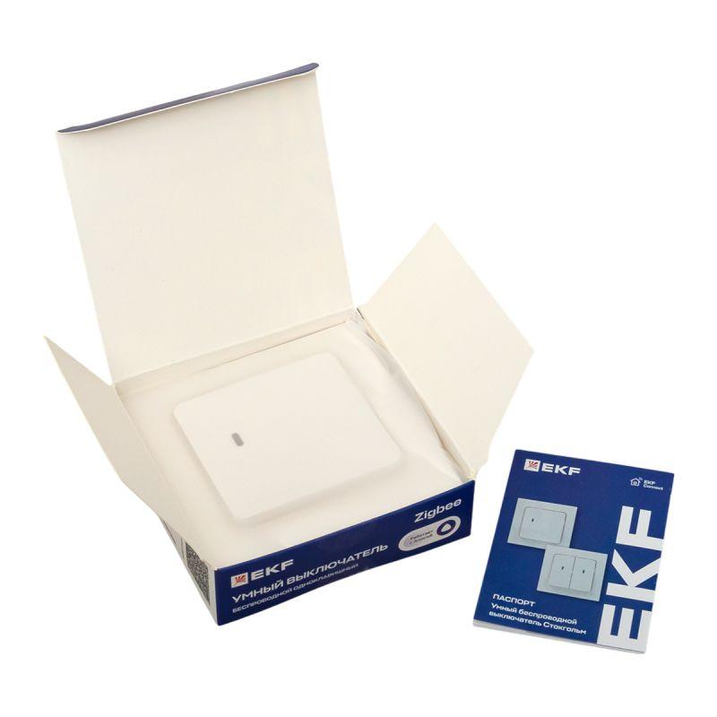 RCV-ST1-WS-ZB изображение