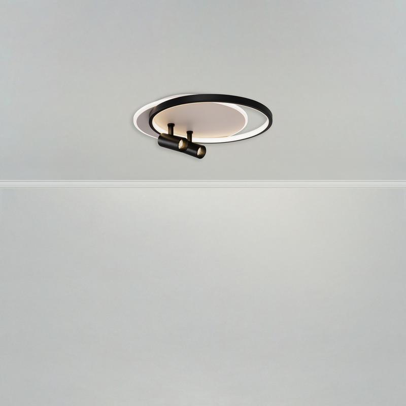 FR6083CL-L106WB изображение