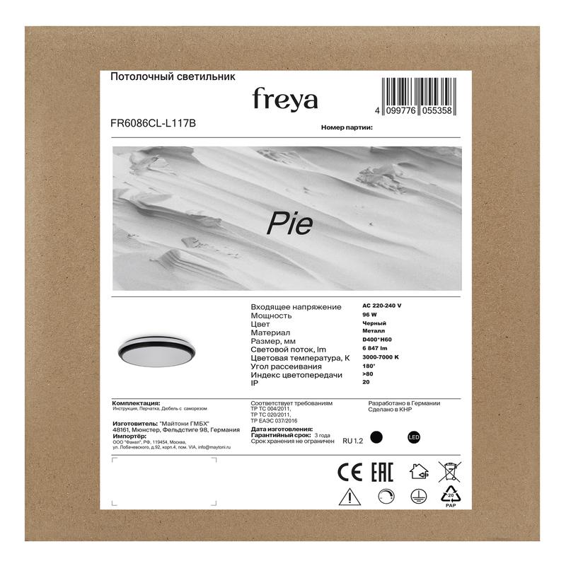 FR6086CL-L117B изображение