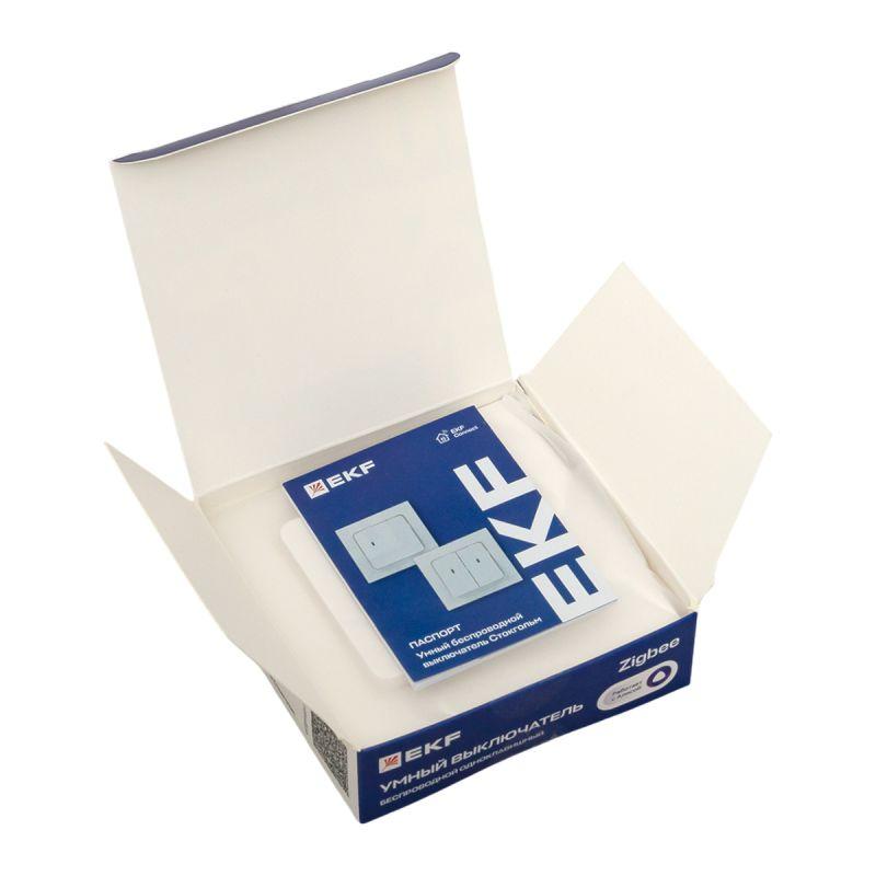 RCV-ST1-WS-ZB изображение