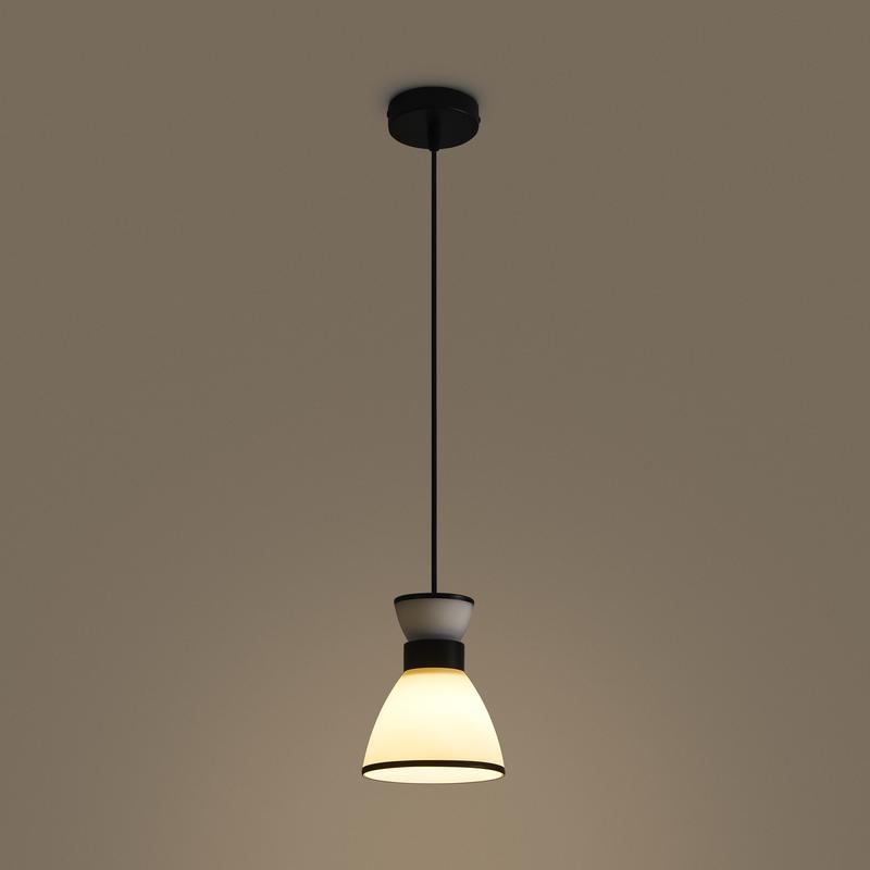 FR5503PL-01B1 изображение